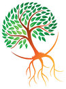 Orchard Springs Firewise Community
